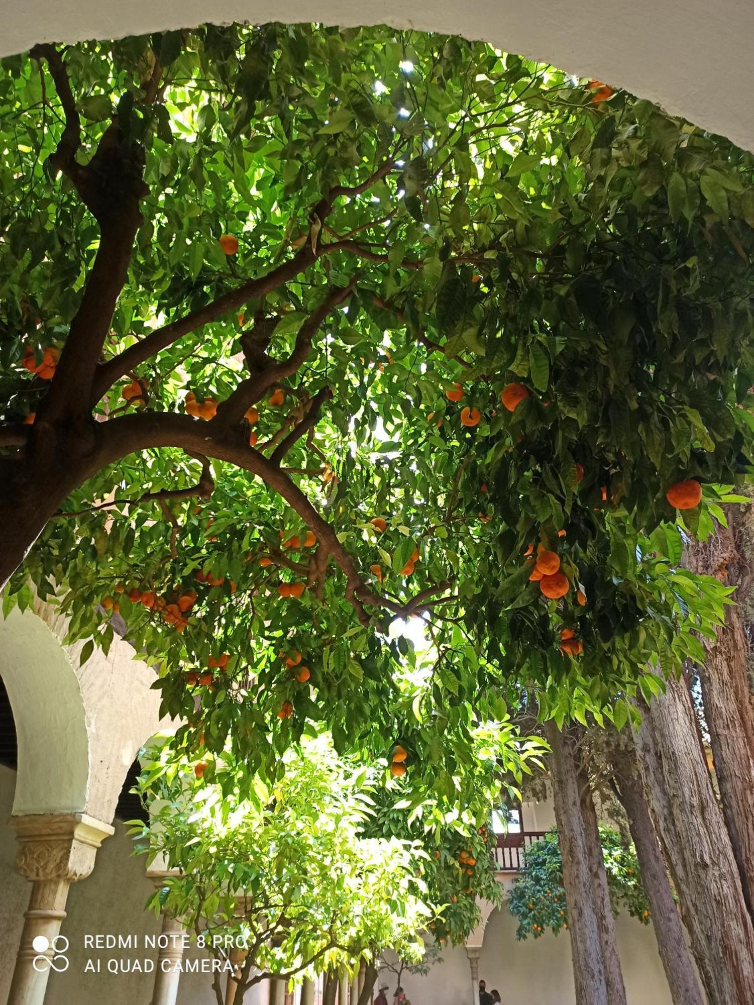 Villa Susana Torrevieja Esterno foto